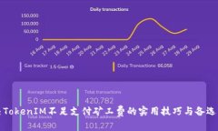 解决TokenIM不足支付矿工费的实用技巧与备选方案