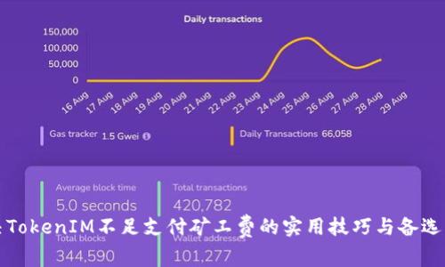 解决TokenIM不足支付矿工费的实用技巧与备选方案