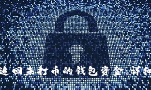 如何追回未打币的钱包资金:详细指南
