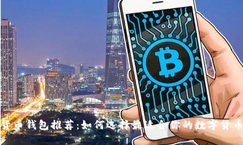 数字货币钱包推荐:如何选择最适合你的数字货币钱包