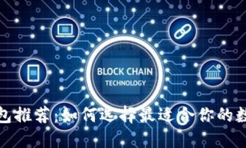 数字货币钱包推荐:如何选择最适合你的数字货币钱包
