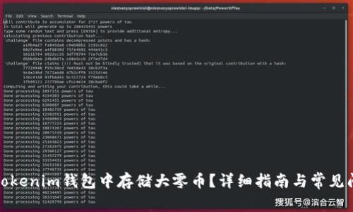 如何在Tokenim钱包中存储大零币?详细指南与常见问题解答