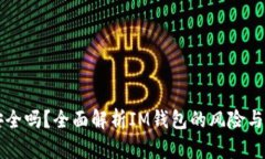 IM钱包安全吗?全面解析IM钱包的风险与防范措施