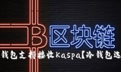 哪种冷钱包支持接收Kaspa？冷钱包选择指南