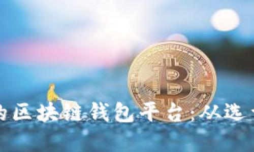 如何开发高效安全的区块链钱包平台：从选型到实现的全面指南