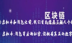 在讨论虚拟币和钱包之前，我们首先需要了解几
