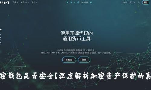 加密钱包是否安全？深度解析加密资产保护的真相