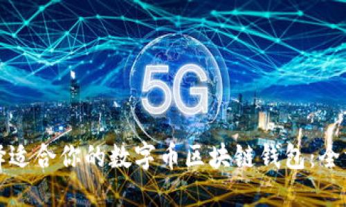 如何选择适合你的数字币区块链钱包:全方位指南