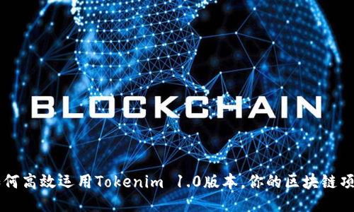 如何高效运用Tokenim 1.0版本，你的区块链项目