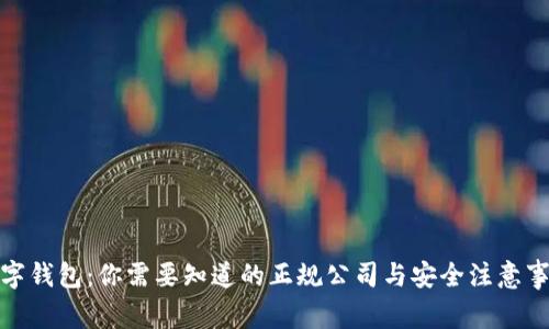 数字钱包:你需要知道的正规公司与安全注意事项