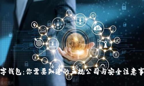 数字钱包:你需要知道的正规公司与安全注意事项