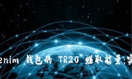 如何通过 Tokenim 钱包的 TR20 赚取能量:实用技巧与策略