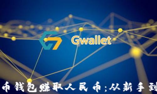 
如何通过虚拟货币钱包赚取人民币：从新手到高手的完整指南