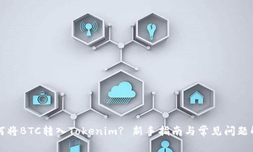 如何将BTC转入Tokenim? 新手指南与常见问题解决