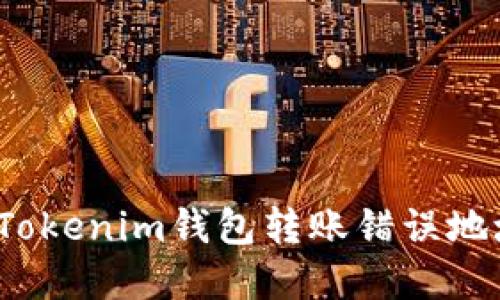 如何解决Tokenim钱包转账错误地址的问题?