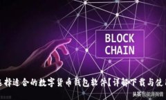 如何选择适合的数字货币钱包软件？详解下载与