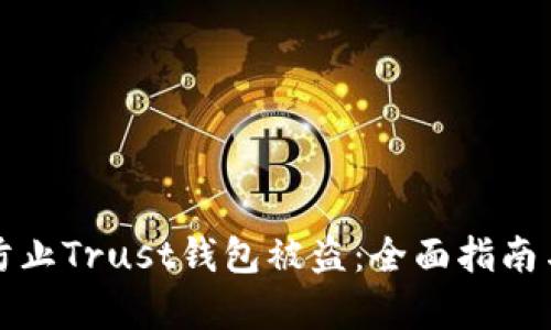 如何有效防止Trust钱包被盗：全面指南与解决方案