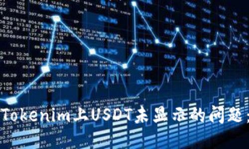 如何处理Tokenim上USDT未显示的问题：详尽指南