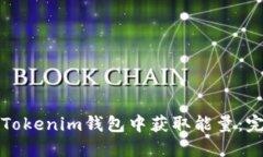 如何在Tokenim钱包中获取能量：完整指南