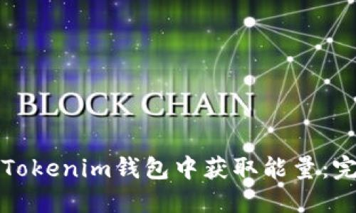 如何在Tokenim钱包中获取能量：完整指南