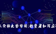 2023年SOL价格走势分析：投资者如何应对市场波动