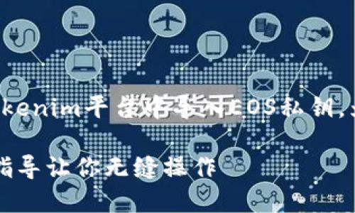 在这一节中，我们将详细探讨如何在Tokenim平台中导入EOS私钥，为用户提供一个详细、易于理解的指南。

轻松导入EOS私钥到Tokenim：一步步指导让你无缝操作