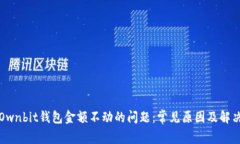 解决Ownbit钱包金额不动的问题：常见原因及解决