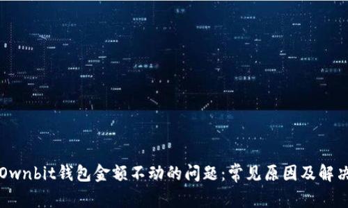 解决Ownbit钱包金额不动的问题：常见原因及解决方案