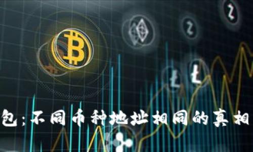 Tokenim钱包：不同币种地址相同的真相与解决方案