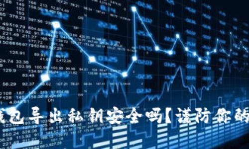 Tokenim钱包导出私钥安全吗？谨防你的资产被盗！