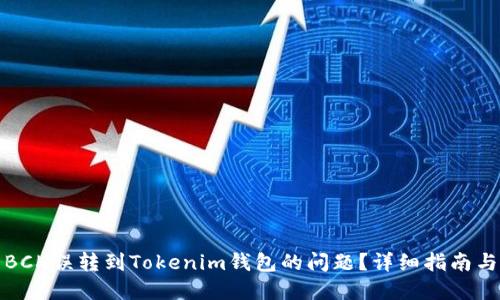 如何解决BCH误转到Tokenim钱包的问题？详细指南与解决方案