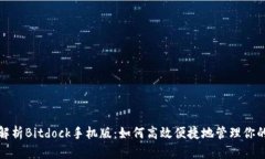 全面解析Bitdock手机版：如何高效便捷地管理你的