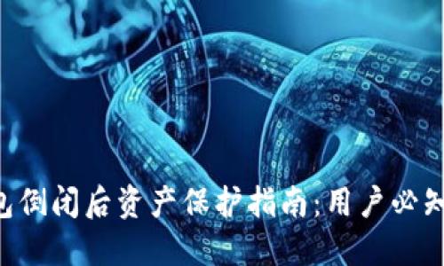 Tokenim钱包倒闭后资产保护指南：用户必知的应对措施