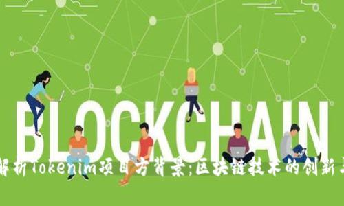 深入解析Tokenim项目方背景：区块链技术的创新与应用