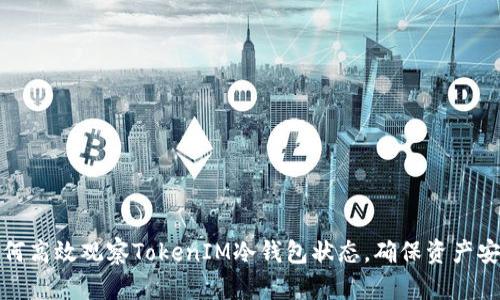 如何高效观察TokenIM冷钱包状态，确保资产安全