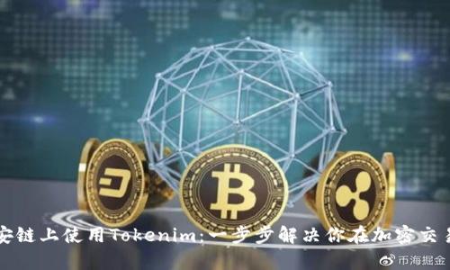 如何在币安链上使用Tokenim：一步步解决你在加密交易中的痛点