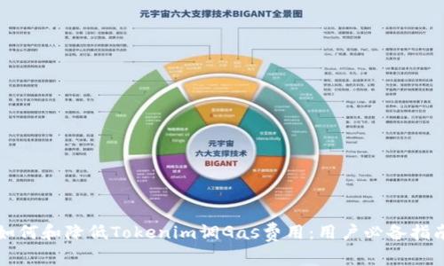 如何和降低Tokenim调Gas费用：用户必备指南