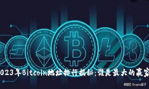 2023年Bitcoin地址排行揭秘：谁是最大的赢家？
