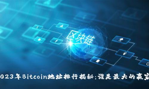2023年Bitcoin地址排行揭秘：谁是最大的赢家？