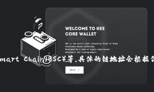 Tokenim钱包主要是与多条区块链兼容的多链钱包，支持以太坊（Ethereum）及其扩展的网络，如ERC-20代币，同时也支持其他区块链如 Binance Smart Chain（BSC）等。具体的链地址会根据你在Tokenim钱包中使用的不同区块链而有所不同，比如如果你在以太坊上，你的地址会以