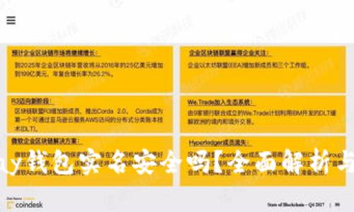 下载OKPay钱包实名安全吗？全面解析与用户指南