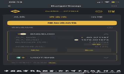 中国数字钱包推荐：你不可不知的支付工具