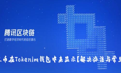 为什么FIL币在Tokenim钱包中未显示？解决办法与常见问题解析