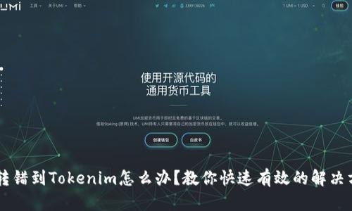 币转错到Tokenim怎么办？教你快速有效的解决方案