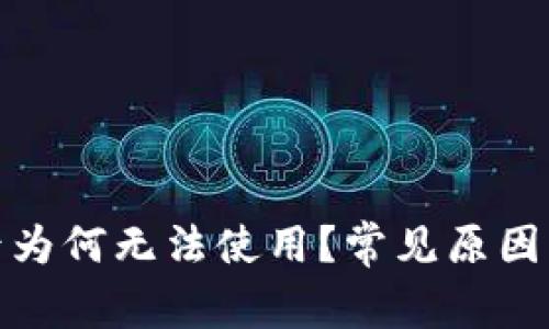 数字钱包充值后为何无法使用？常见原因解析及解决方案