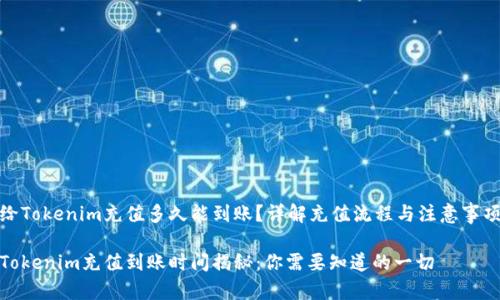 给Tokenim充值多久能到账？详解充值流程与注意事项

Tokenim充值到账时间揭秘：你需要知道的一切