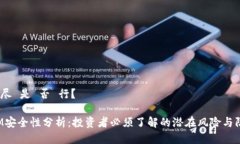 如此 详尽 是 否 行？TokenIM安全性分析：投资者必