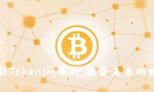 深度解析Tokenim币种：投资未来的财富钥匙