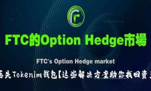 丢失Tokenim钱包？这些解决方案助你找回资产