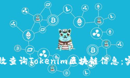 如何高效查询Tokenim区块链信息：实用指南